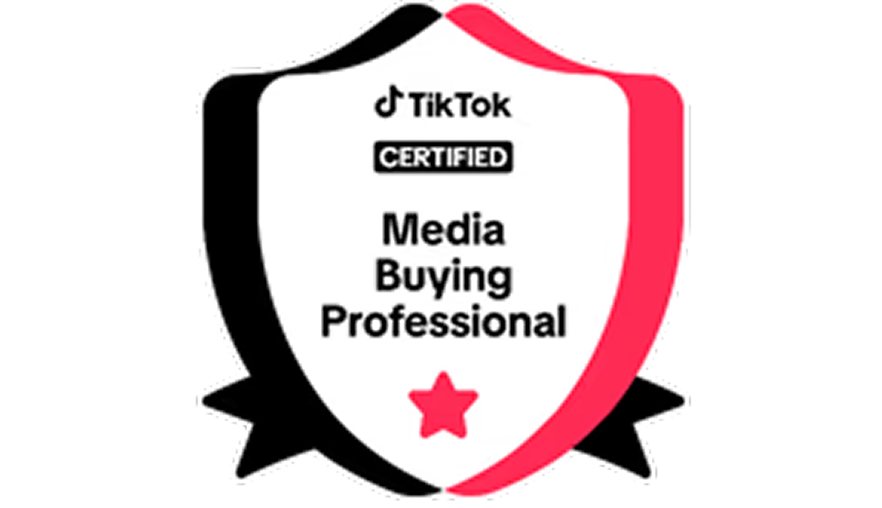 TikTok Media Buying Professional